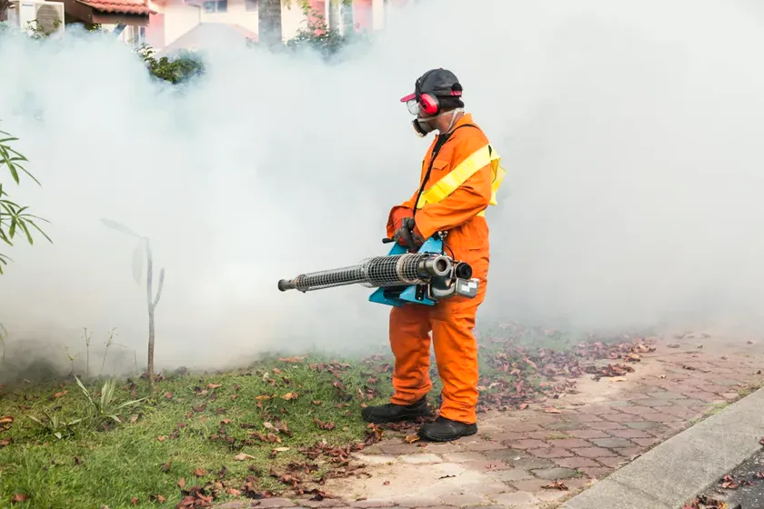 Control del mosquito tigre en Mollet del Vallès — PlagaStop