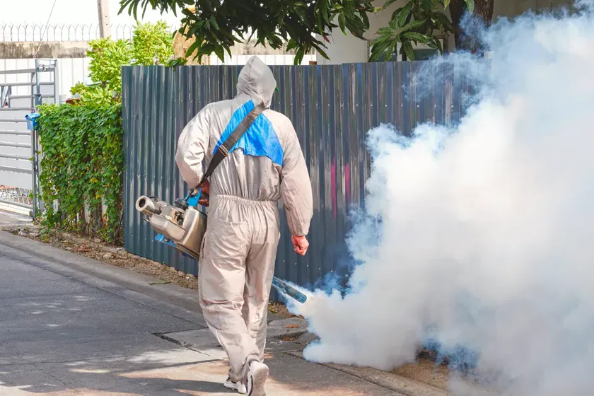 Tratamiento de mosquitos en Mollet del Vallès — PlagaStop