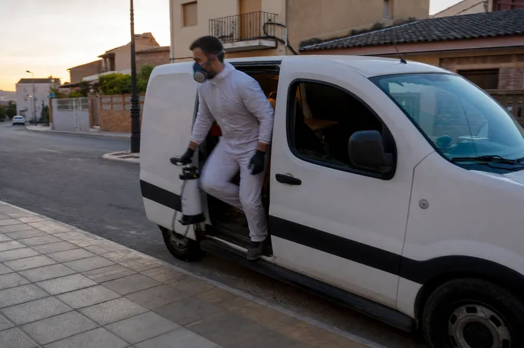 Urgencias de plagas en Mollet del Vallès